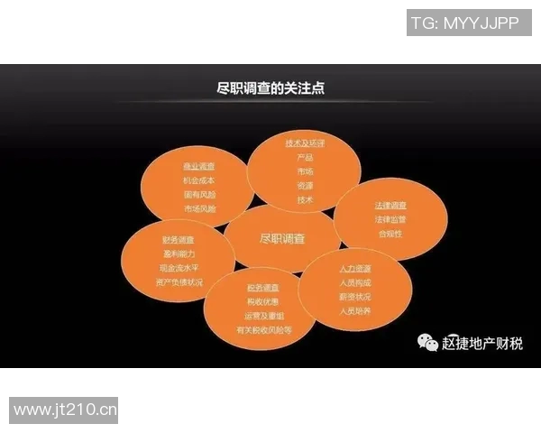 重磅专题：TES如何实现全面转型与创新突破的深度解析